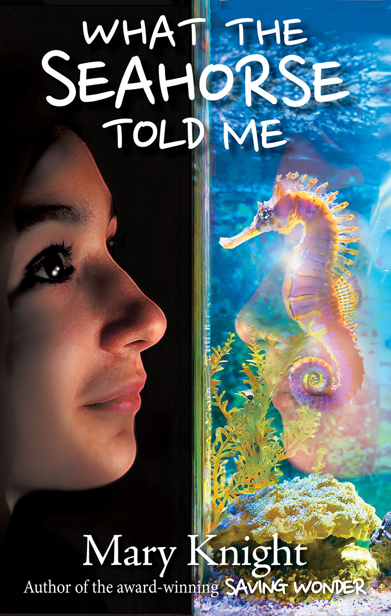 cover of saving wonder